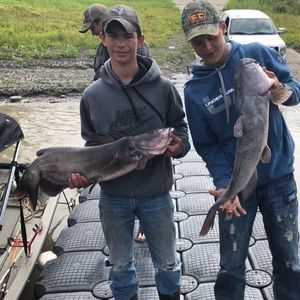 Meet your Posher, Dalton